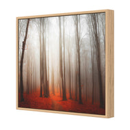 Forest of Fire