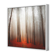 Forest of Fire