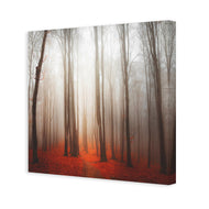 Forest of Fire
