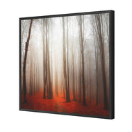 Forest of Fire