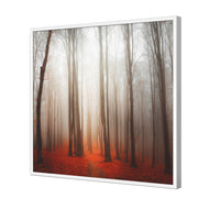 Forest of Fire