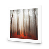 Forest of Fire