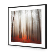 Forest of Fire