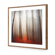 Forest of Fire