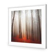 Forest of Fire