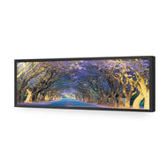 Jacaranda Alley