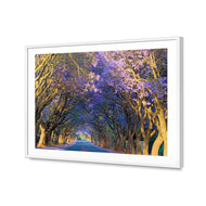 Jacaranda Alley