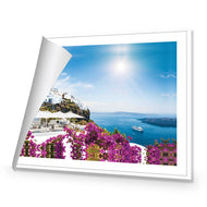 Bougainvillea in Greece