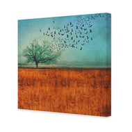 Autumn Migration