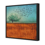 Autumn Migration