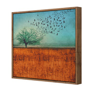 Autumn Migration