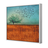 Autumn Migration