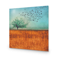Autumn Migration