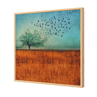 Autumn Migration
