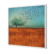 Autumn Migration