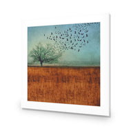 Autumn Migration