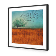 Autumn Migration