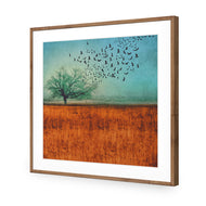 Autumn Migration