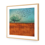 Autumn Migration