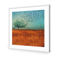 Autumn Migration