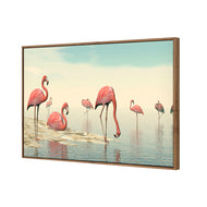 Flamingo Chill