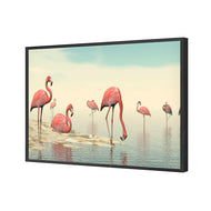 Flamingo Chill