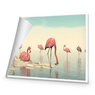 Flamingo Chill