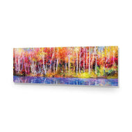 Rainbow Tree Forest
