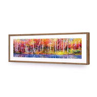 Rainbow Tree Forest