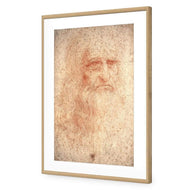 Renaissance Man By Leonardo Da Vinci