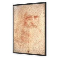 Renaissance Man By Leonardo Da Vinci