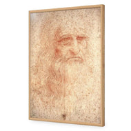 Renaissance Man By Leonardo Da Vinci
