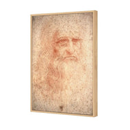 Renaissance Man By Leonardo Da Vinci