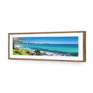 Gold Coast from Burleigh