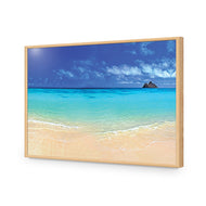 Beach Dream