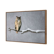 Eurasian Eagle Owl