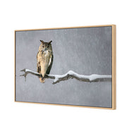 Eurasian Eagle Owl