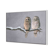 Ural Owl Pair