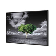 Green Tree of Life I