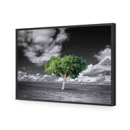 Green Tree of Life I