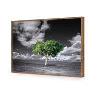 Green Tree of Life I