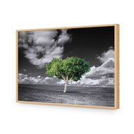 Green Tree of Life I
