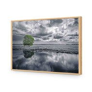 Green Tree of Life II