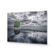 Green Tree of Life II