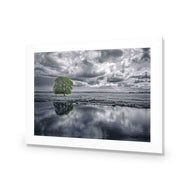 Green Tree of Life II
