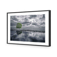 Green Tree of Life II