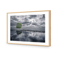 Green Tree of Life II