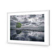 Green Tree of Life II