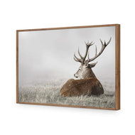 Stag in Lightness