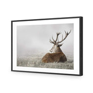 Stag in Lightness